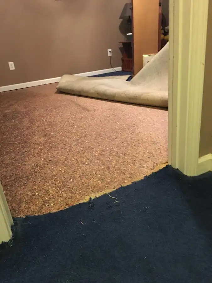 Carpet pad removal revealing water damage during Water Mitigation Services in Keyport